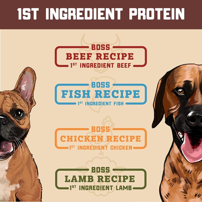 Boss Dog Freeze Dried Raw Diet (Dogs), Fish Recipe, 12 oz Bag