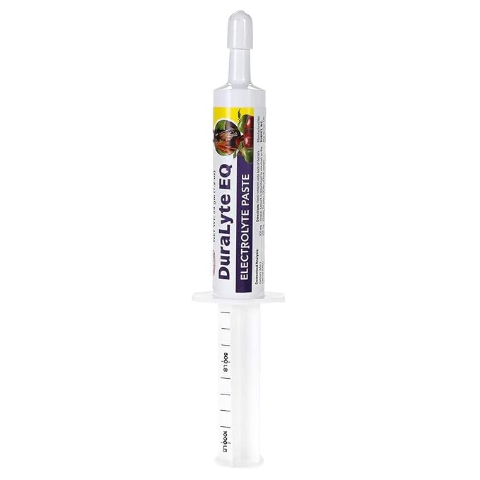 Durvet DuraLyte EQ Electrolyte Paste for Horses – 34 g Oral Syringe