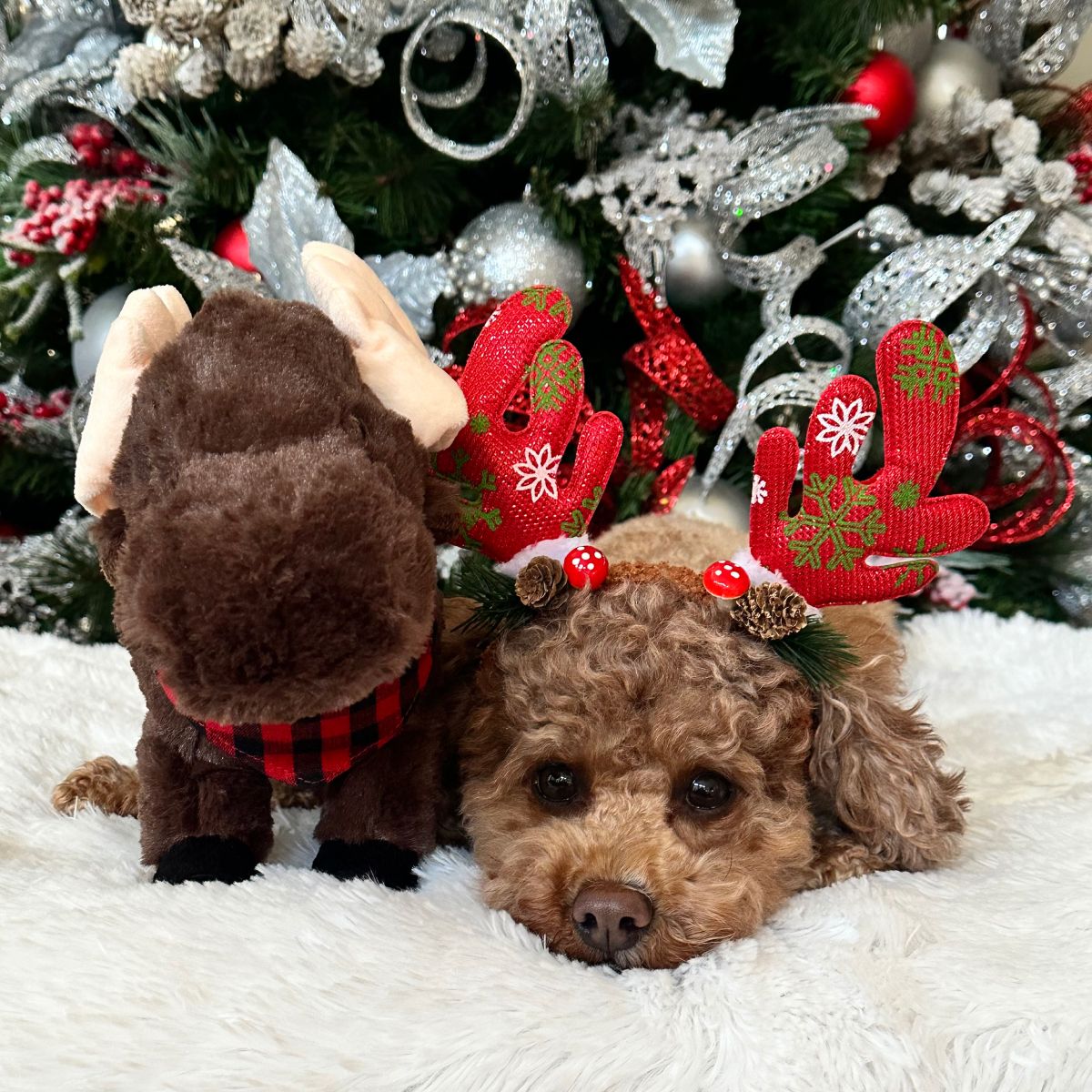 Tall Tails Animated Moose Plush Dog Toy – 11 Inch, Large