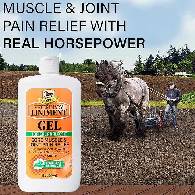 Absorbine Veterinary Liniment Gel, 12 oz Bottle