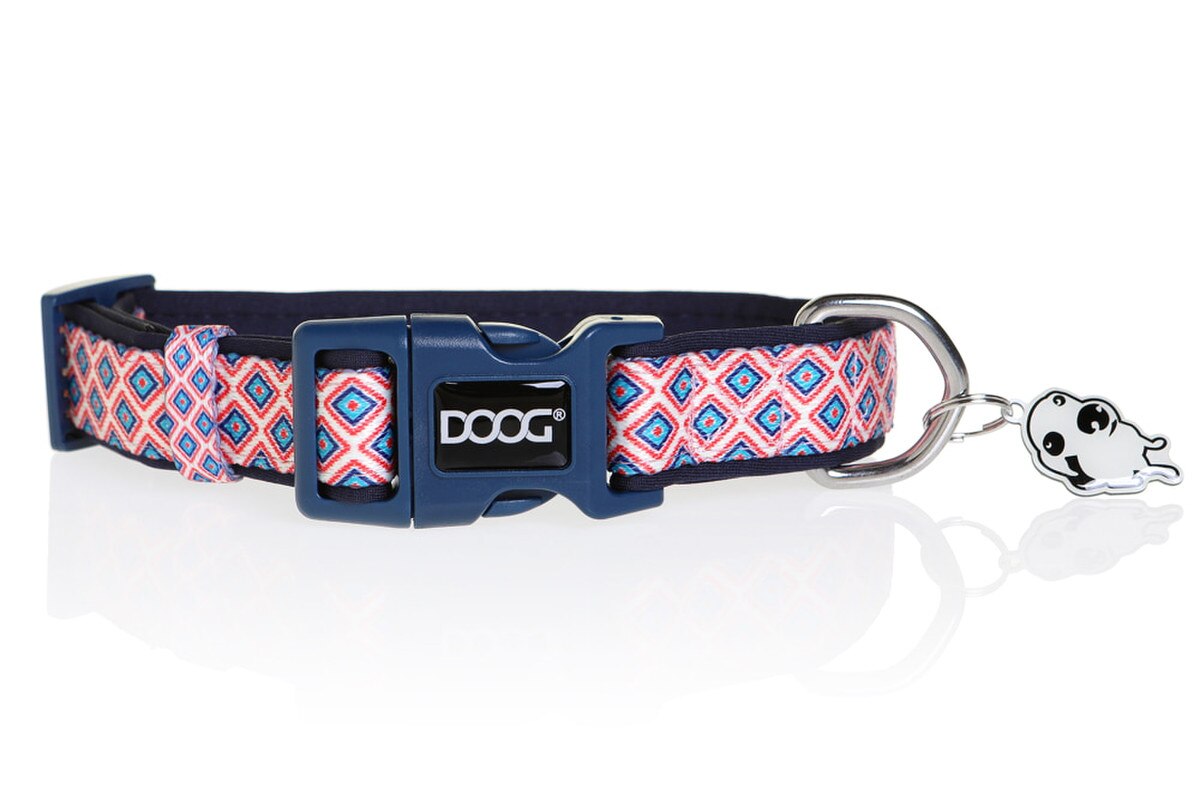 DOOG Gromit Neoprene Dog Collar, X-Small, 4–10 Inch Neck, Quick-Dry Water-Friendly Collar