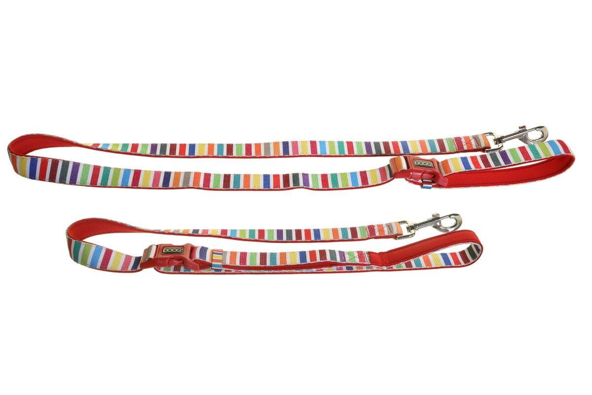 DOOG Scooby Clip-It Neoprene Dog Leash – Candy Stripe, 6 ft (DOOG)