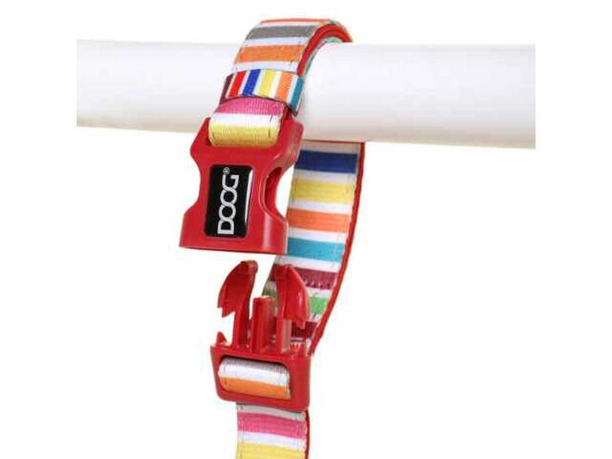 DOOG Scooby Clip-It Neoprene Dog Leash – Candy Stripe, 6 ft (DOOG)