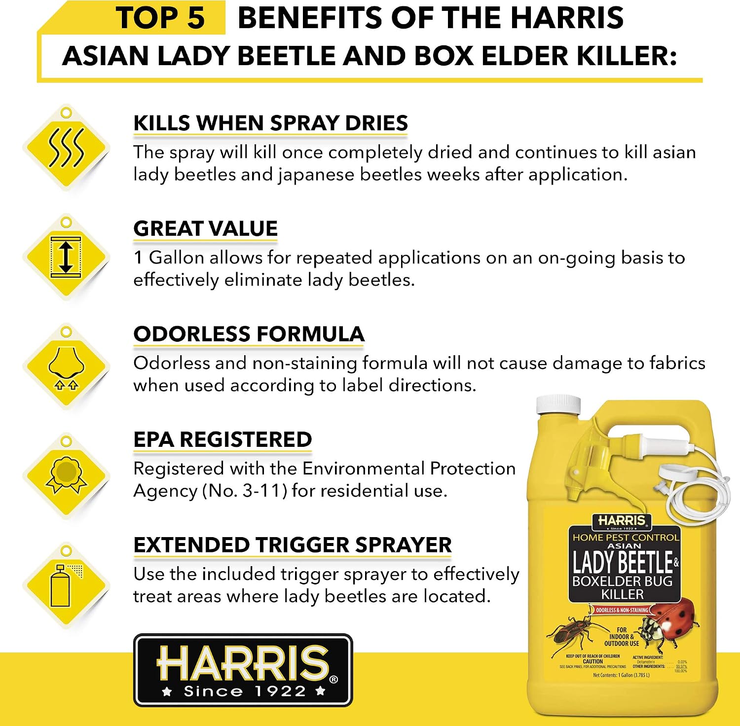 Harris Asian Lady Beetle & Box Elder Bug Killer, 1 gal