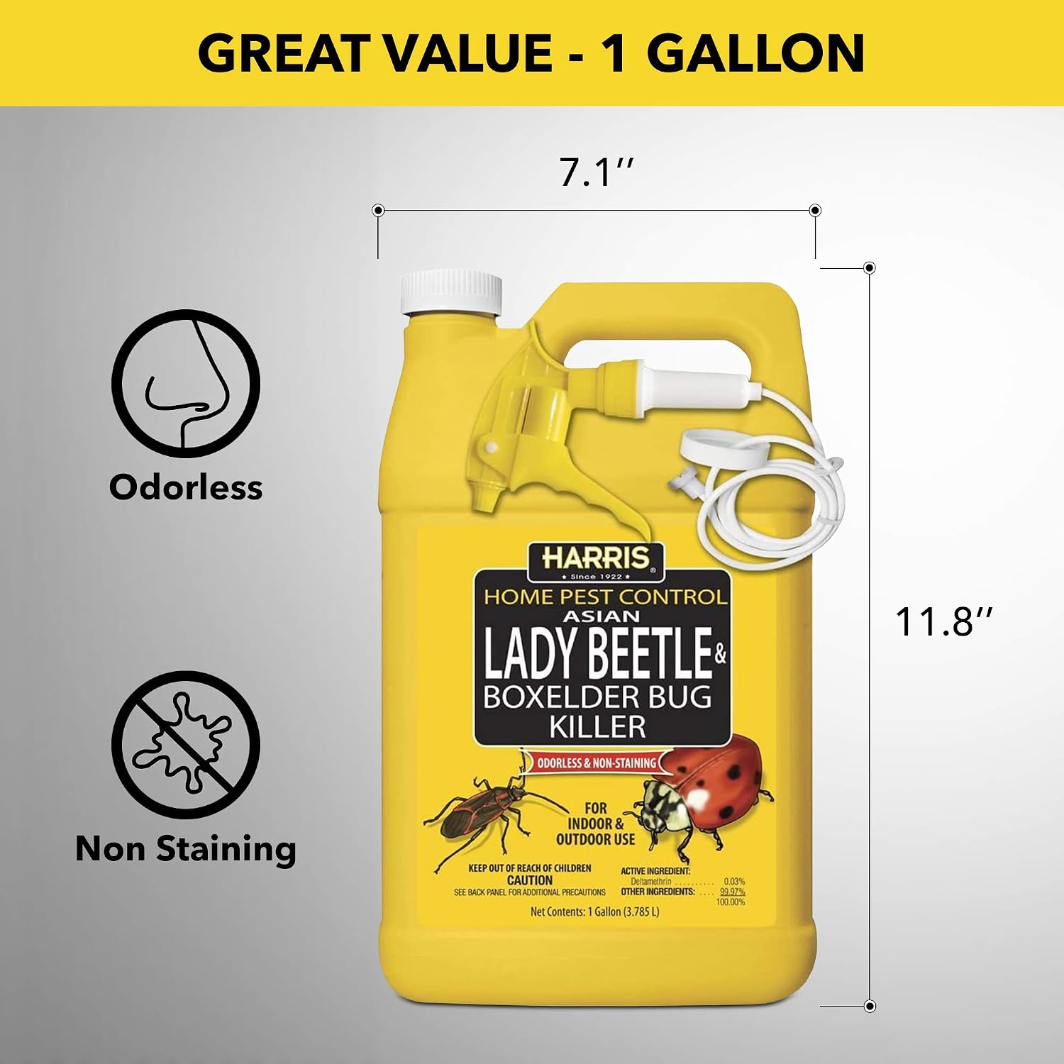 Harris Asian Lady Beetle & Box Elder Bug Killer, 1 gal