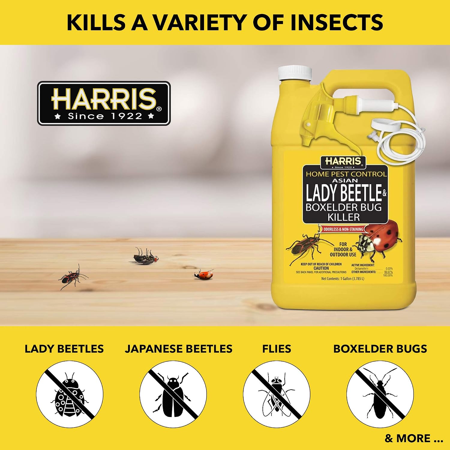 Harris Asian Lady Beetle & Box Elder Bug Killer, 1 gal