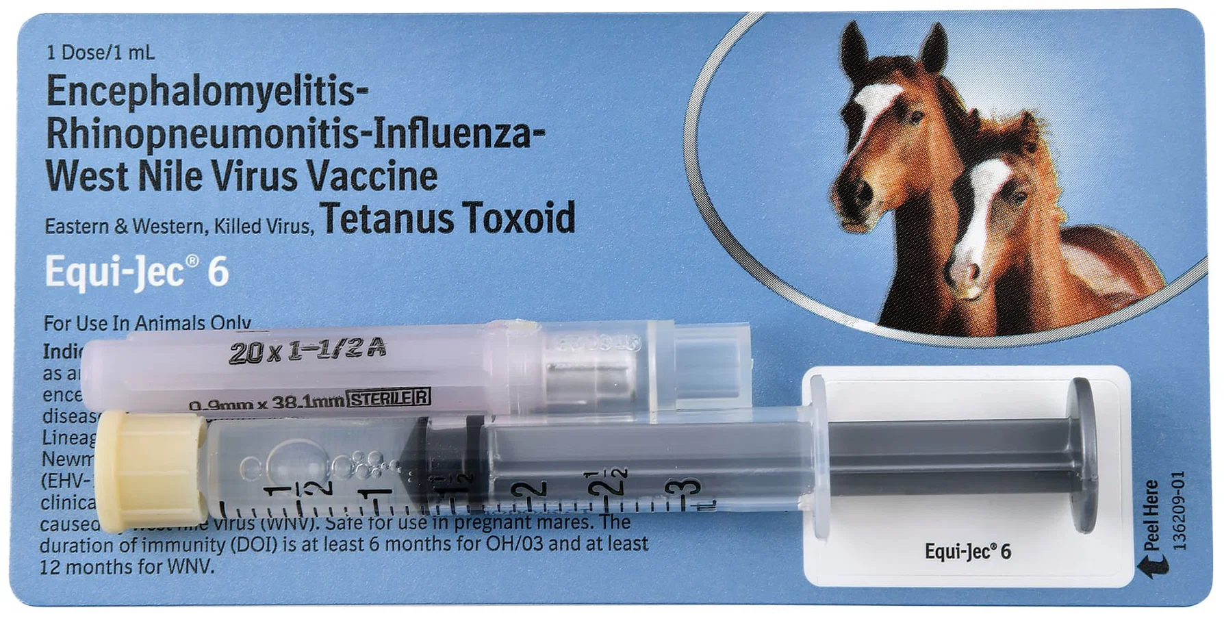 Equi-Jec 6 Equine Vaccine Single Dose
