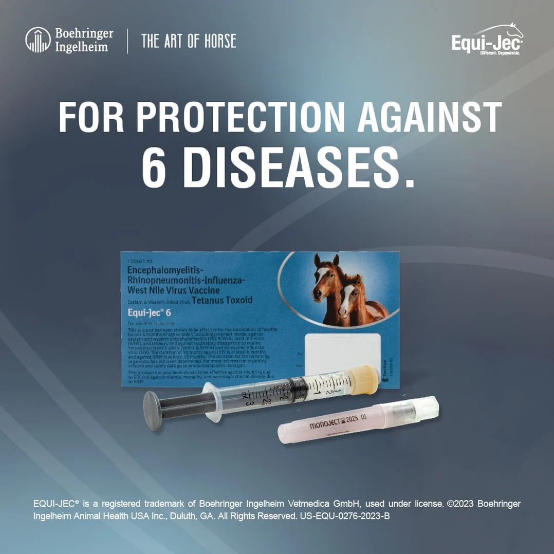 Equi-Jec 6 Equine Vaccine Single Dose