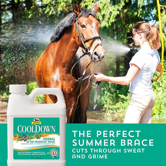 Absorbine CoolDown After-Workout Horse Rinse Concentrate 32 oz – No-Rinse Cooling Herbal Body Wash