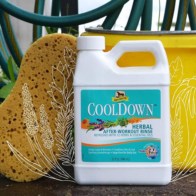 Absorbine CoolDown After-Workout Horse Rinse Concentrate 32 oz – No-Rinse Cooling Herbal Body Wash