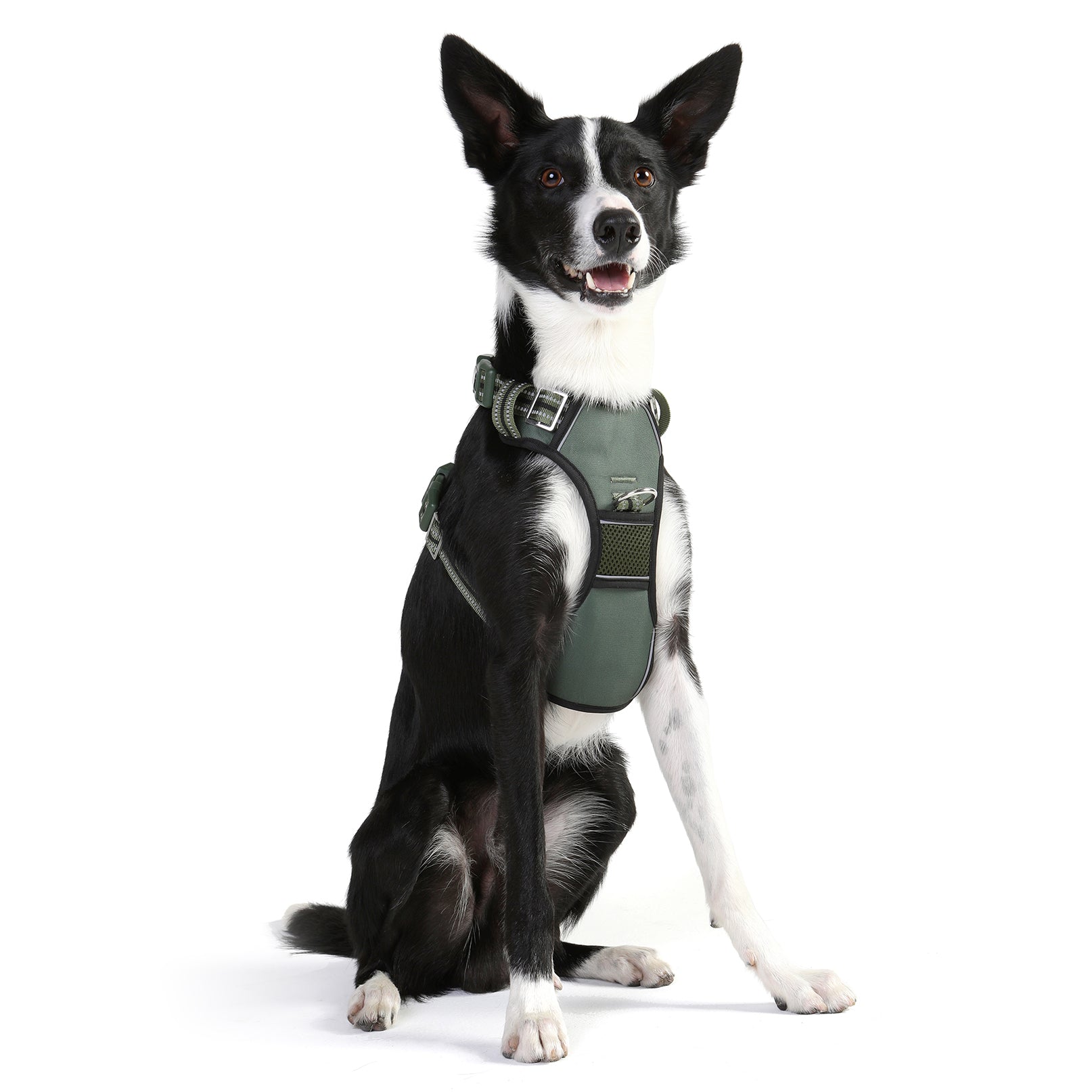 DOOG Neotech Harness GREEN - Medium