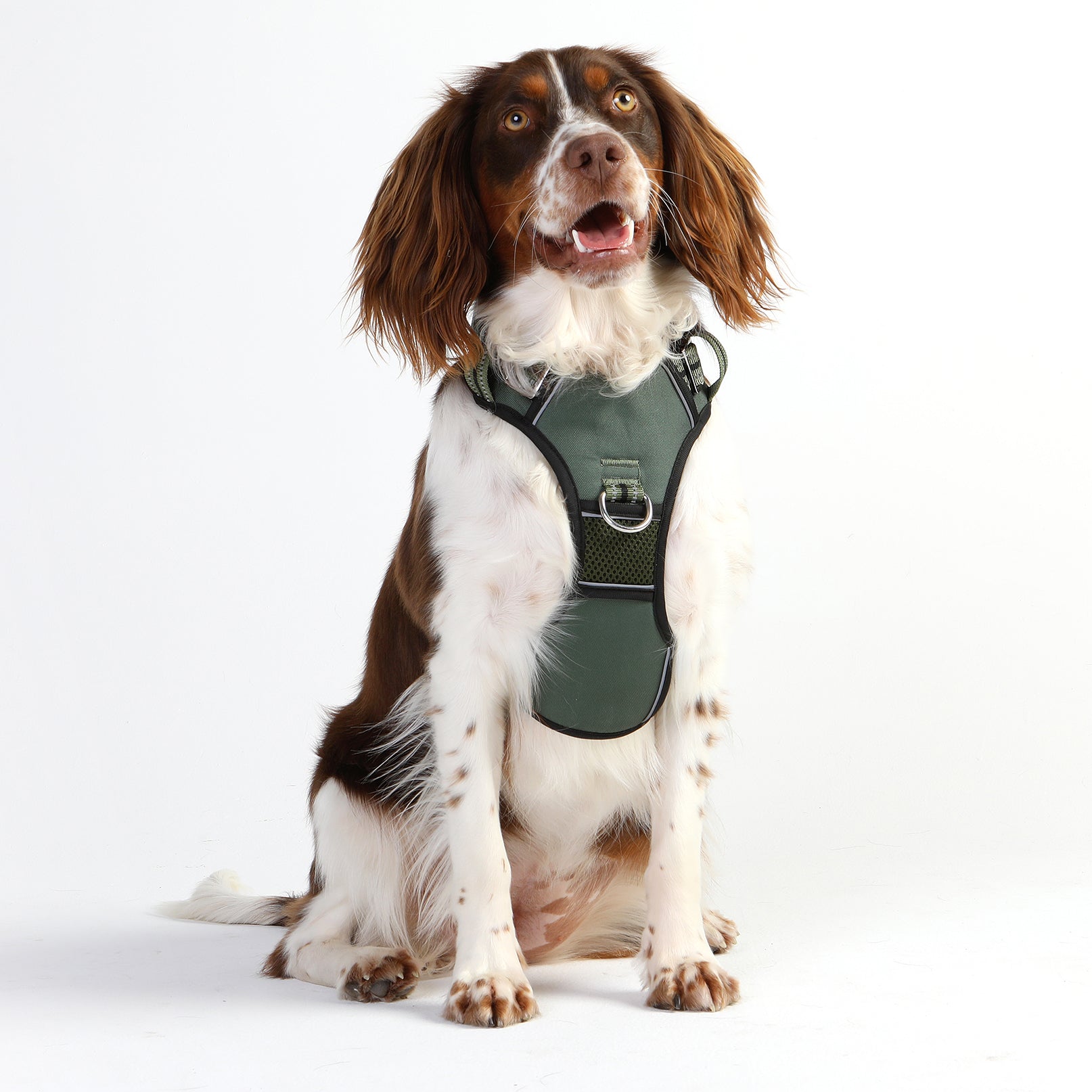 DOOG Neotech Harness GREEN - Medium