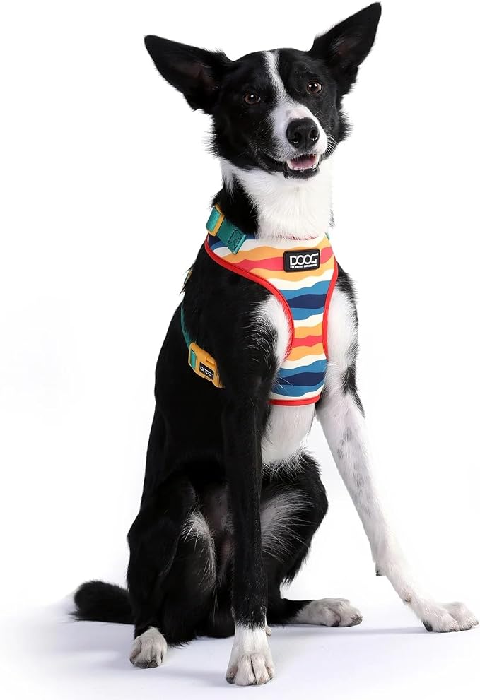 DOOG Neoflex Dog Harness SCOUT - Extra Large