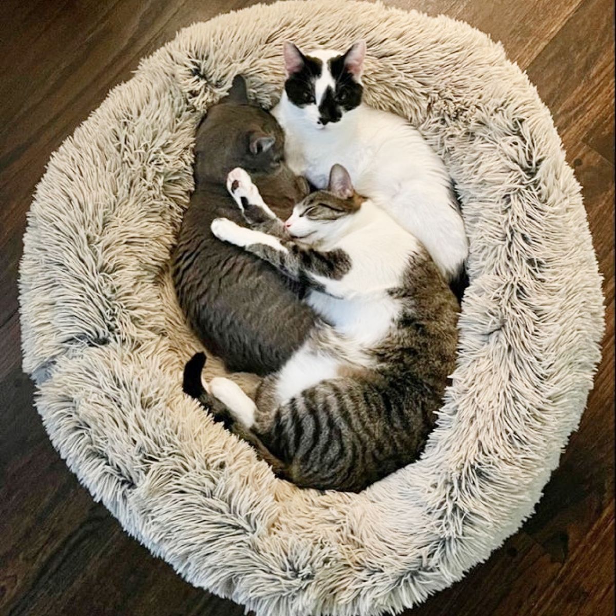 Tall Tails Dream Sleeper Cuddle Donut Pet Bed – Frosted Gray