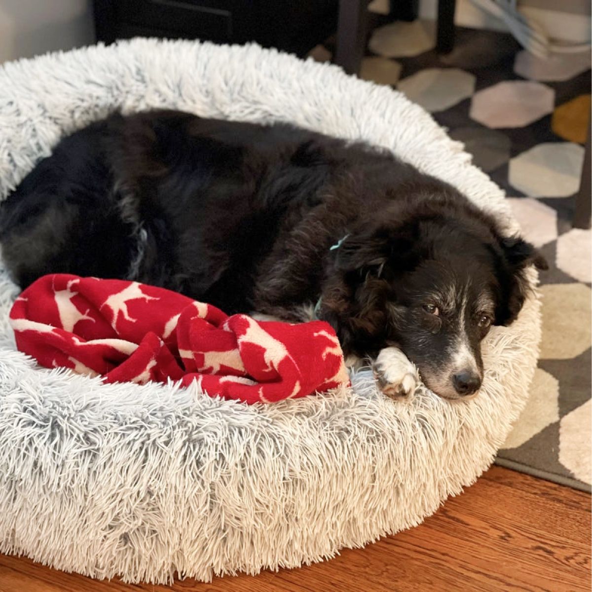 Tall Tails Dream Sleeper Cuddle Donut Pet Bed – Frosted Gray