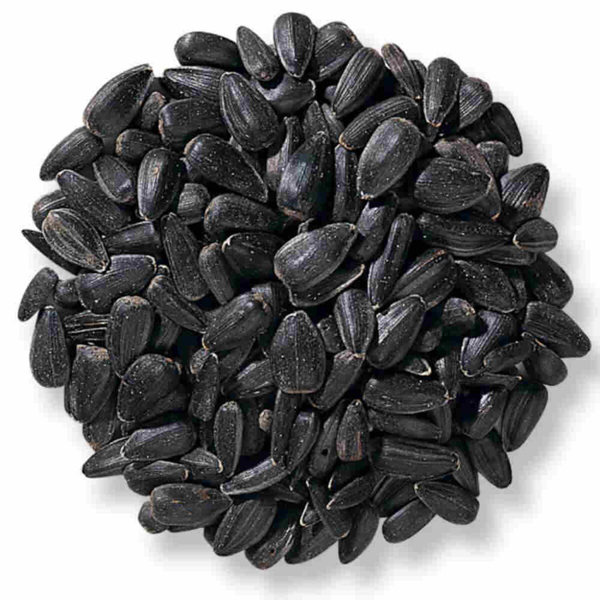Premium Black Oil Sunflower Seeds for Wild Birds – High-Energy Bird Food