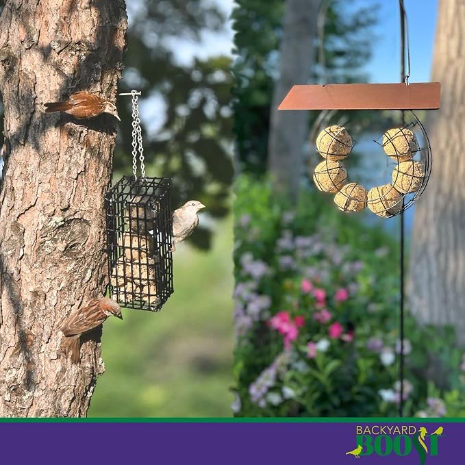 Backyard Boost Songbird Balls - Bird Seed for Wild Birds (1 Pack)