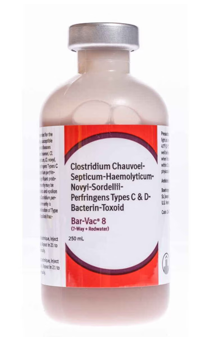 BAR-VAC 8 (250ML) 50ds