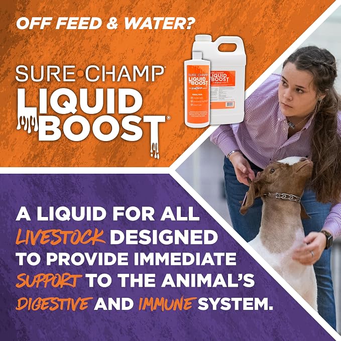 BioZyme Vita Charge Liquid Boost 32 oz – Multi-Species Livestock Digestive & Immune Support Supplement