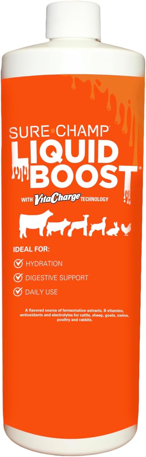 BioZyme Vita Charge Liquid Boost 32 oz – Multi-Species Livestock Digestive & Immune Support Supplement