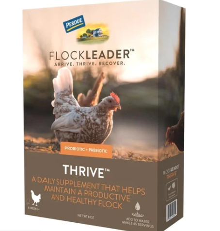 Perdue FLOCKLEADER® Thrive – Prebiotic & Probiotic Poultry Supplement