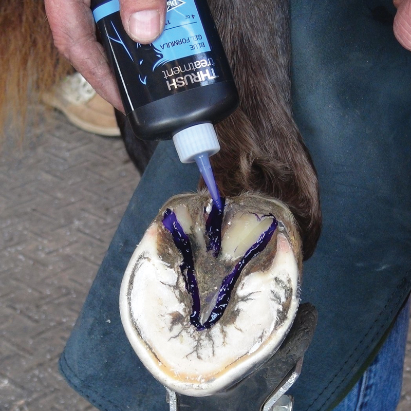 Diamond Frog Dressing Horse Hoof Thrush Treatment Blue Gel – 4 oz