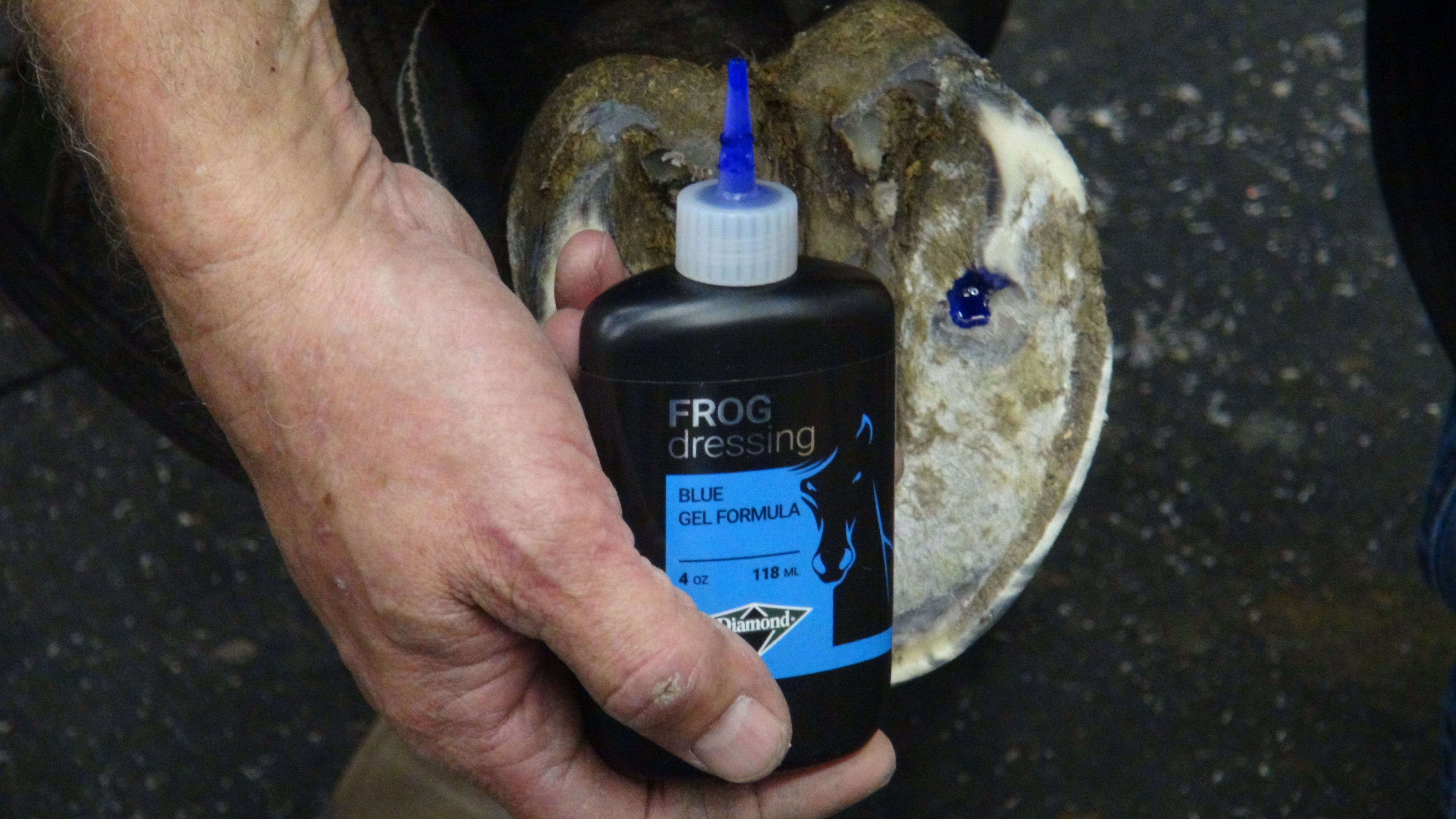 Diamond Frog Dressing Horse Hoof Thrush Treatment Blue Gel – 4 oz