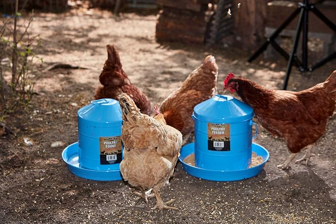 17 lb. Galv. Poultry Feeder-Berry Blue