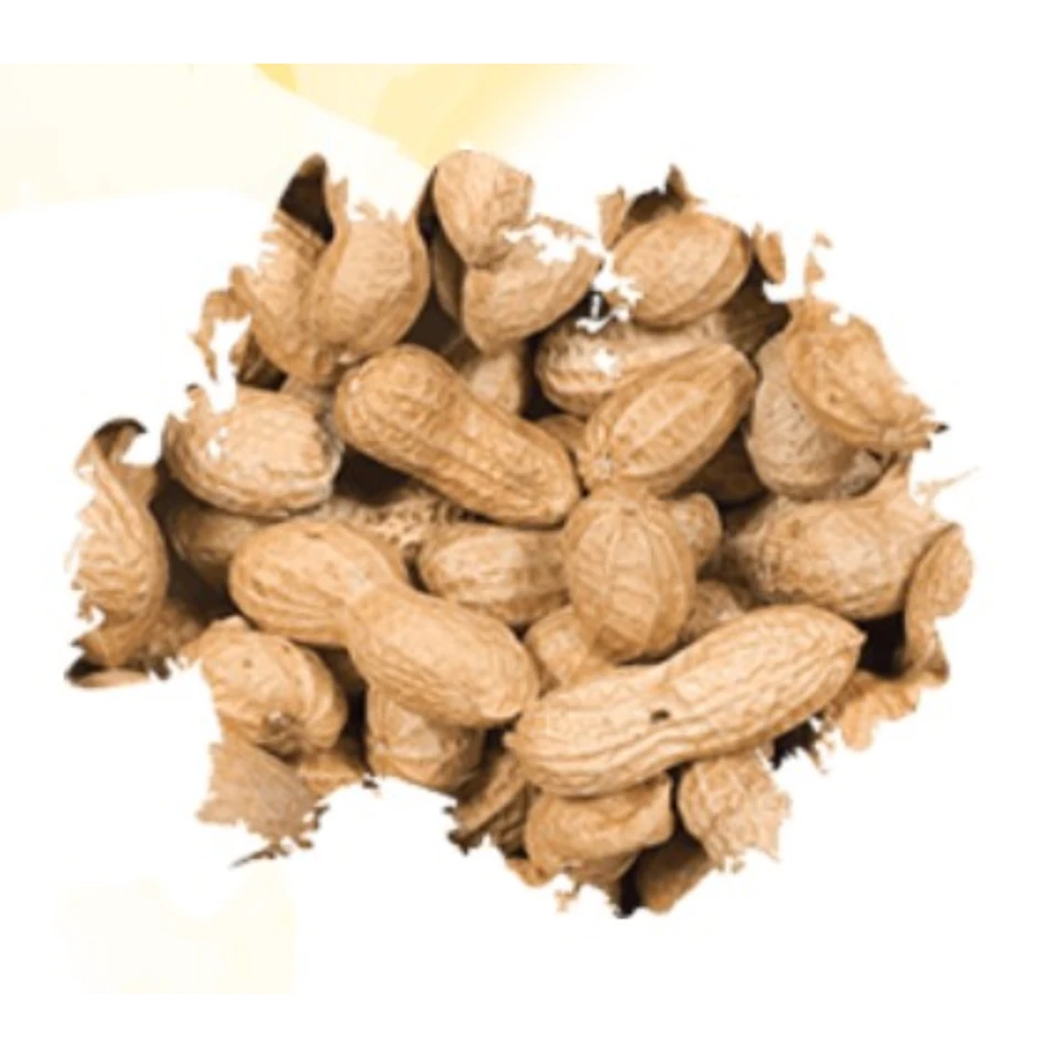 Wild Delight Premium Whole Inshell Peanuts for Wild Birds & Wildlife – Unsalted Natural Peanuts, 13 lb Bag