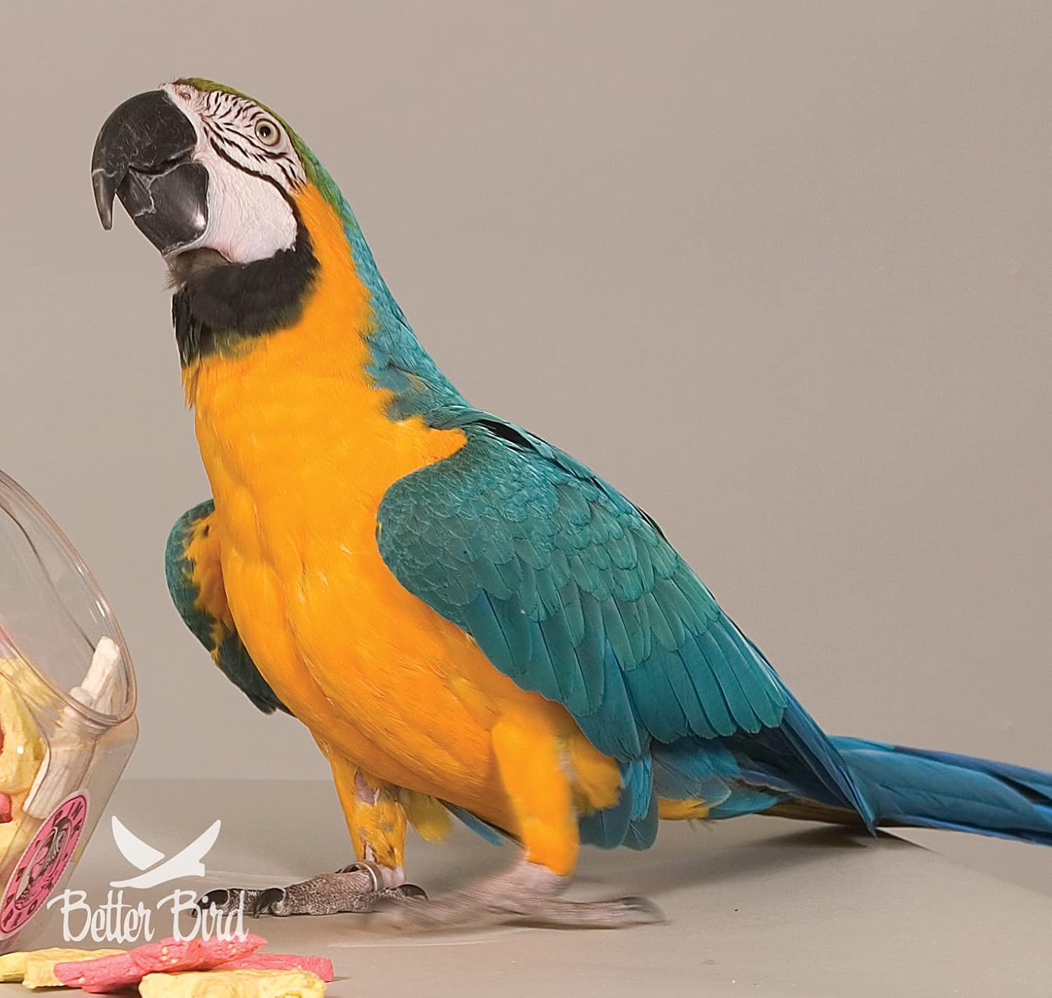 Better Bird Premium Parrot Food – 4 lb Jar