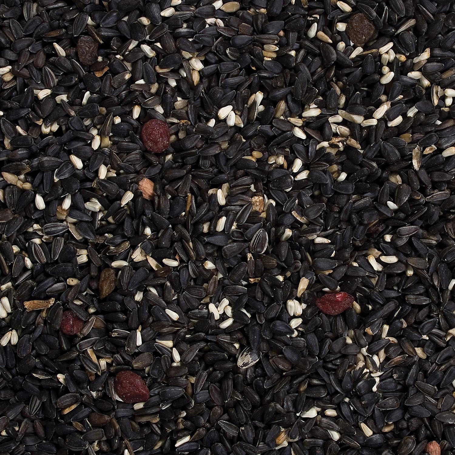 Wild Delight Songbird Food – 20 lb