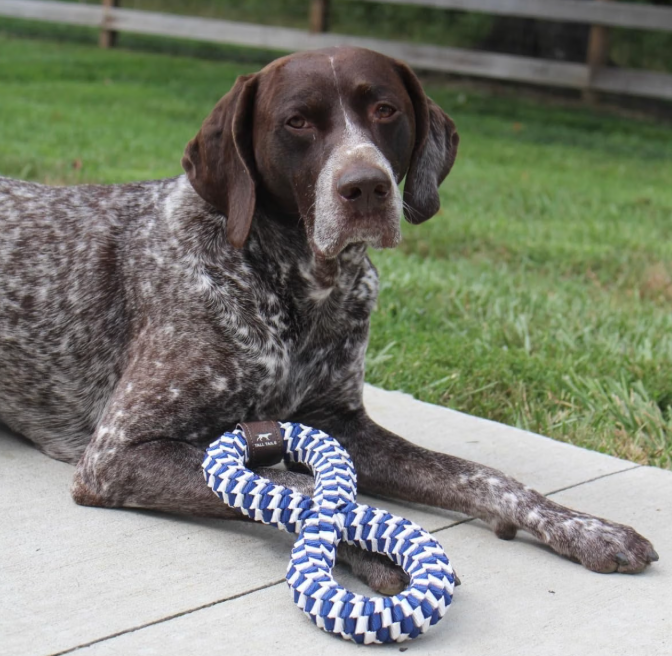 Tall Tails Braided Infinity Tug Dog Toy – Navy, 11 Inch