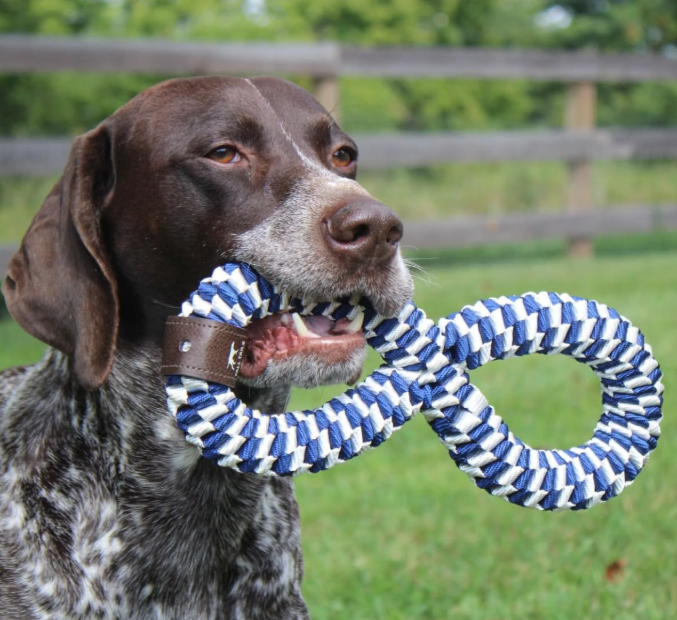 Tall Tails Braided Infinity Tug Dog Toy – Navy, 11 Inch