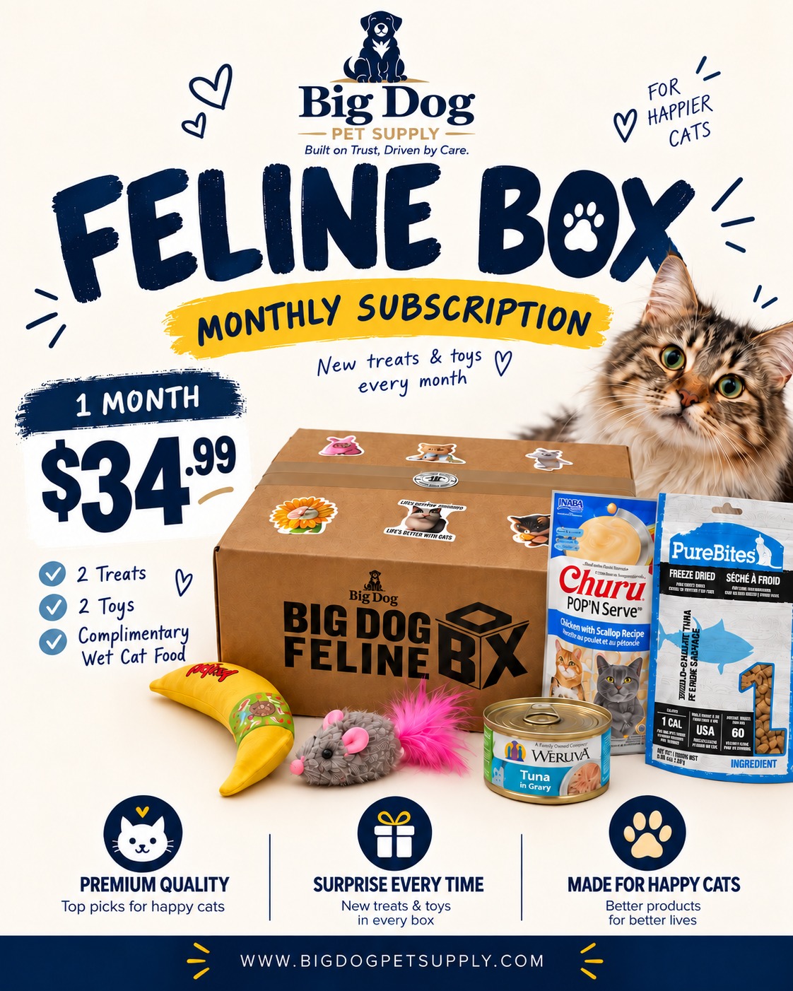 Big Dog Feline Cat Box - Ultimate New Surprising Treat & Toys for Cats Every Time You Order