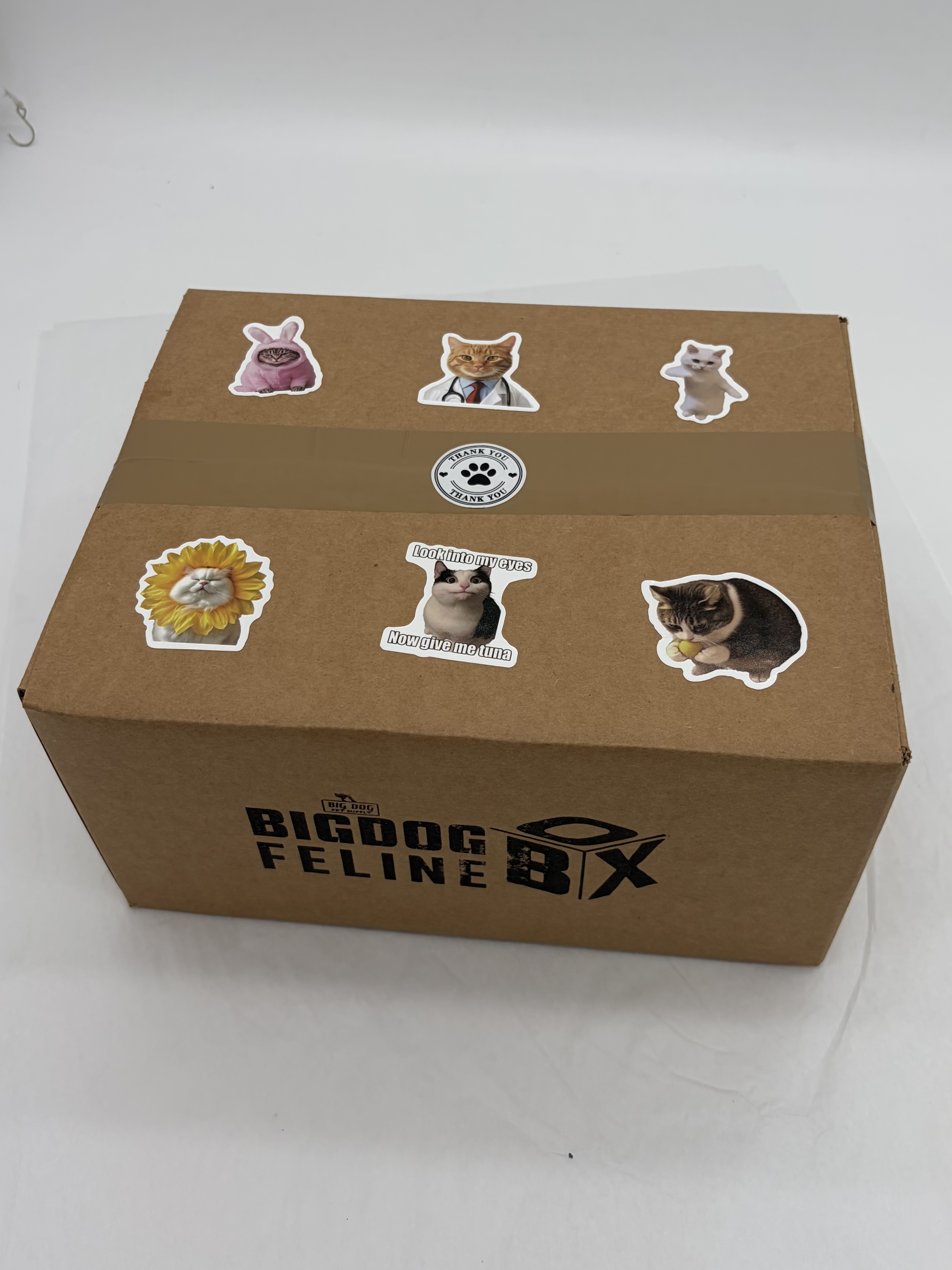 Big Dog Feline Cat Box - Ultimate New Surprising Treat & Toys for Cats Every Time You Order
