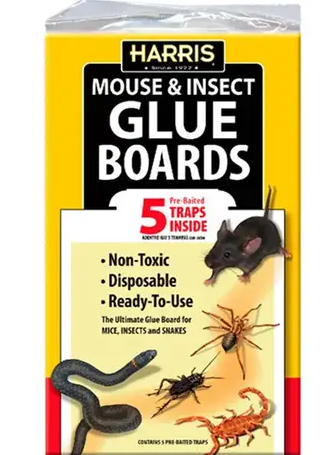 Harris Mouse & Insect Glue Boards – 5 Pack Pre-Baited Non-Toxic Disposable Pest Traps for Mice, Roaches, Spiders & Insects