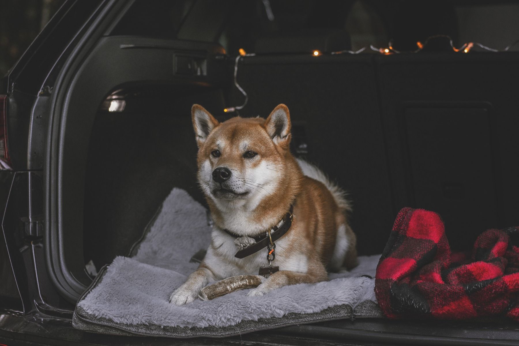 Tall Tails Hunter's Plaid Fleece Dog Blanket 