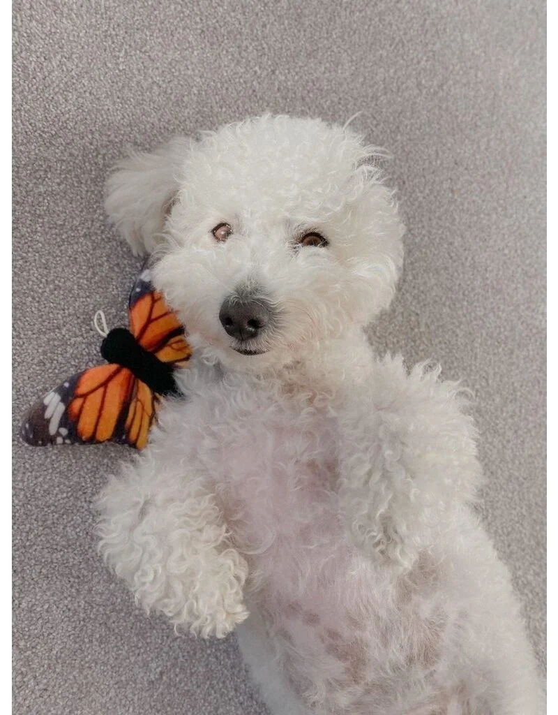 Tall Tails Plush Monarch Squeaker Dog Toy – 7 inch