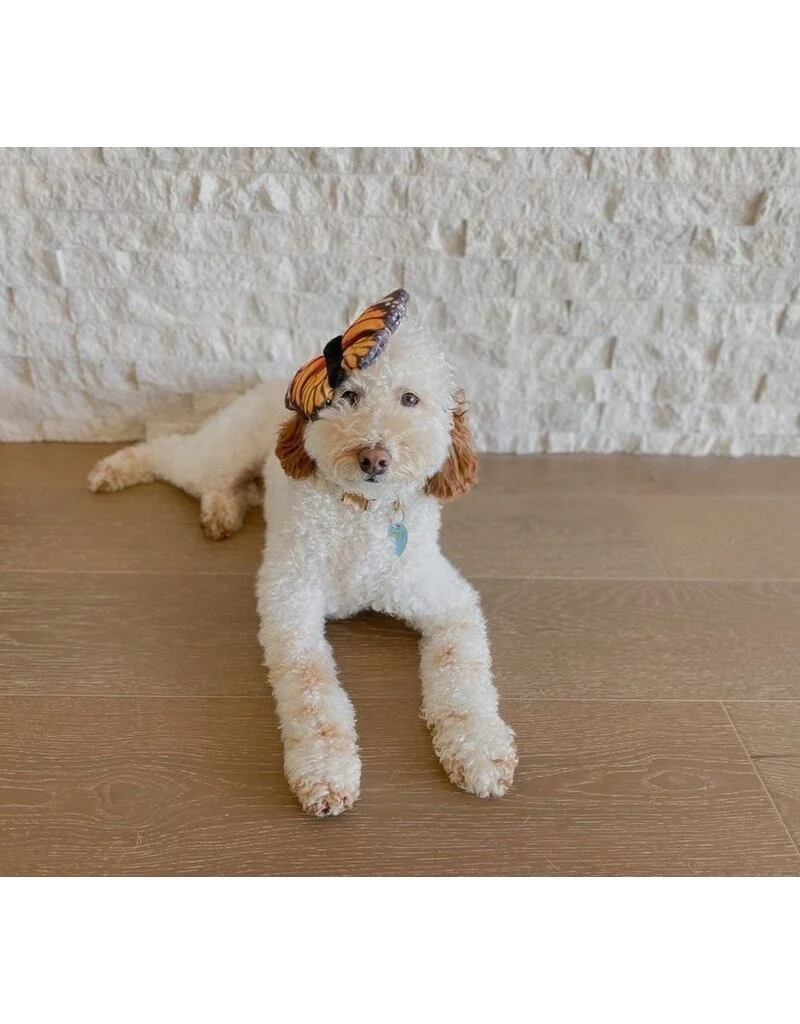 Tall Tails Plush Monarch Squeaker Dog Toy – 7 inch