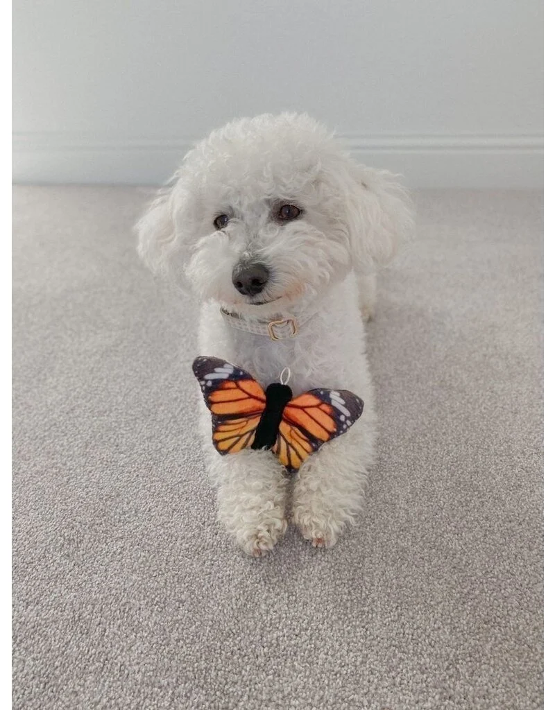 Tall Tails Plush Monarch Squeaker Dog Toy – 7 inch