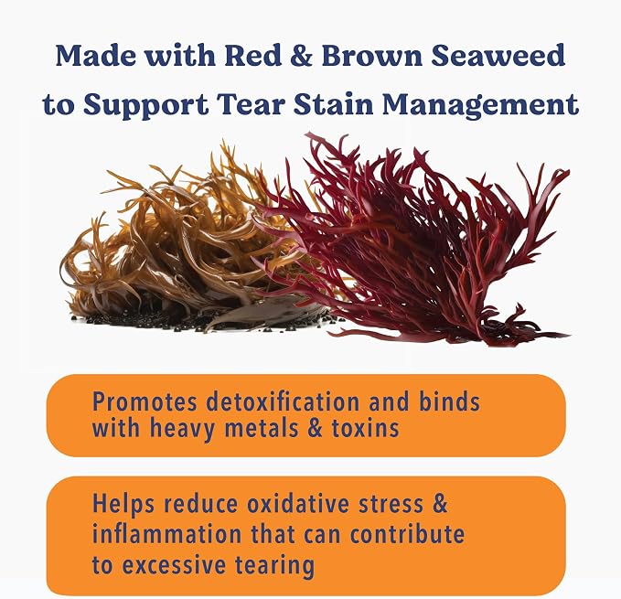 Angels' Eyes Sea Sticks Tear Stain Friendly Dog Treats, Large 6 Count