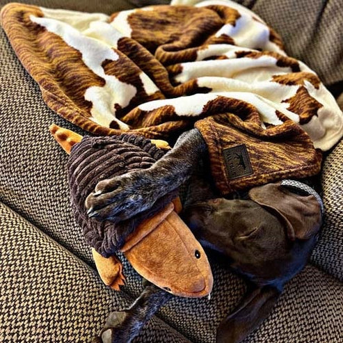 Tall Tails Cowhide Print Baby-Soft Fleece Dog Blanket – 30 x 40 Inch