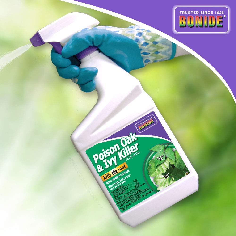 Bonide Poison Ivy & Oak Killer Ready-to-Use Spray – Brush & Weed Killer, 32 oz