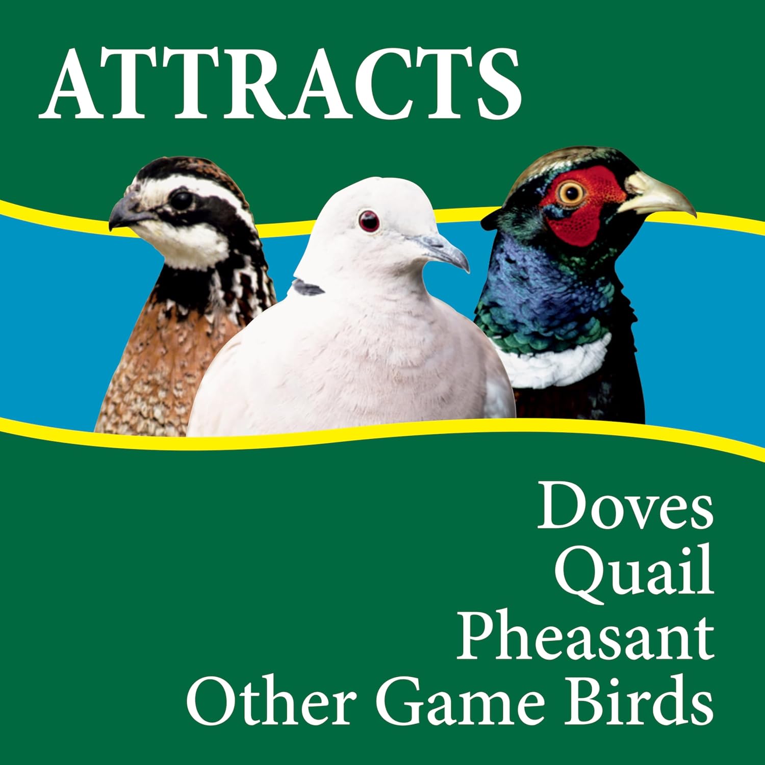 Wild Delight Dove & Quail Food – Premium Seed & Grain Game Bird Feed, 10 lb Bag