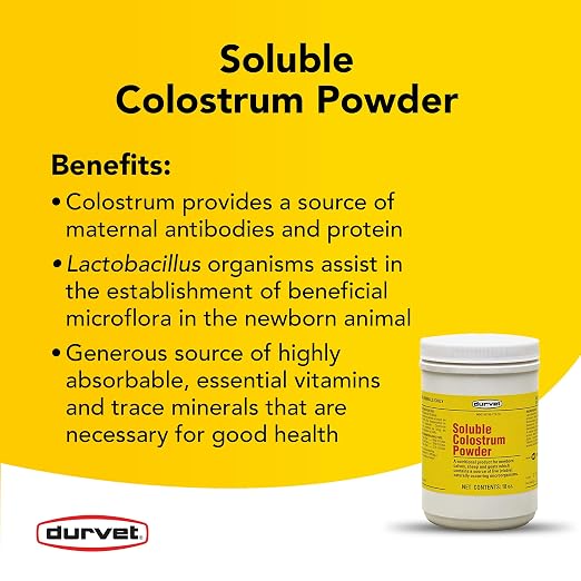 Colostrum Powder 18oz Jar
