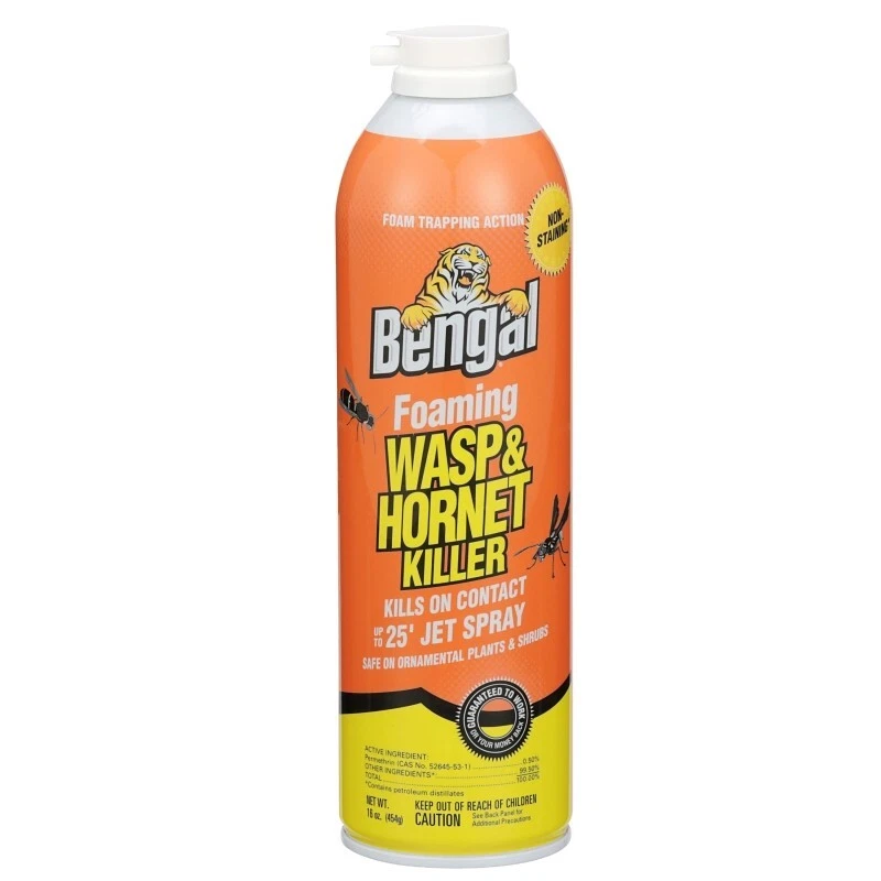 Foaming Wasp & Hornet Spray 16oz — image 1