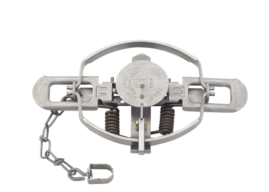 Duke #3 Coil Spring Animal Trap – 6" Jaw Spread Heavy-Duty Steel Foot-Hold Trap, Model 0500