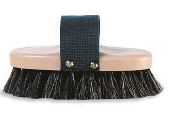 The Pro-Body - Natural Oval Horsehair Blend