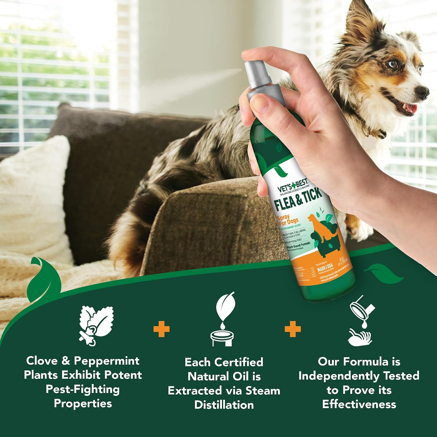 Vet's Best Flea & Tick Spray for Dogs, Plant-Based Spray, Pest Control, 8oz