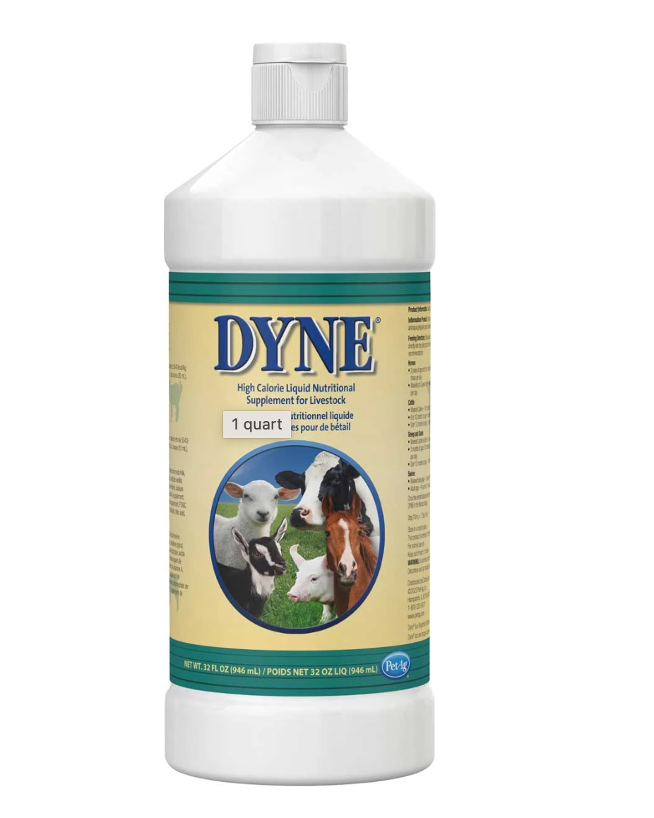 PetAg Dyne High Calorie Liquid Livestock Supplement – High-Fat Weight Gain & Energy Support, Vanilla Flavor, 32 oz